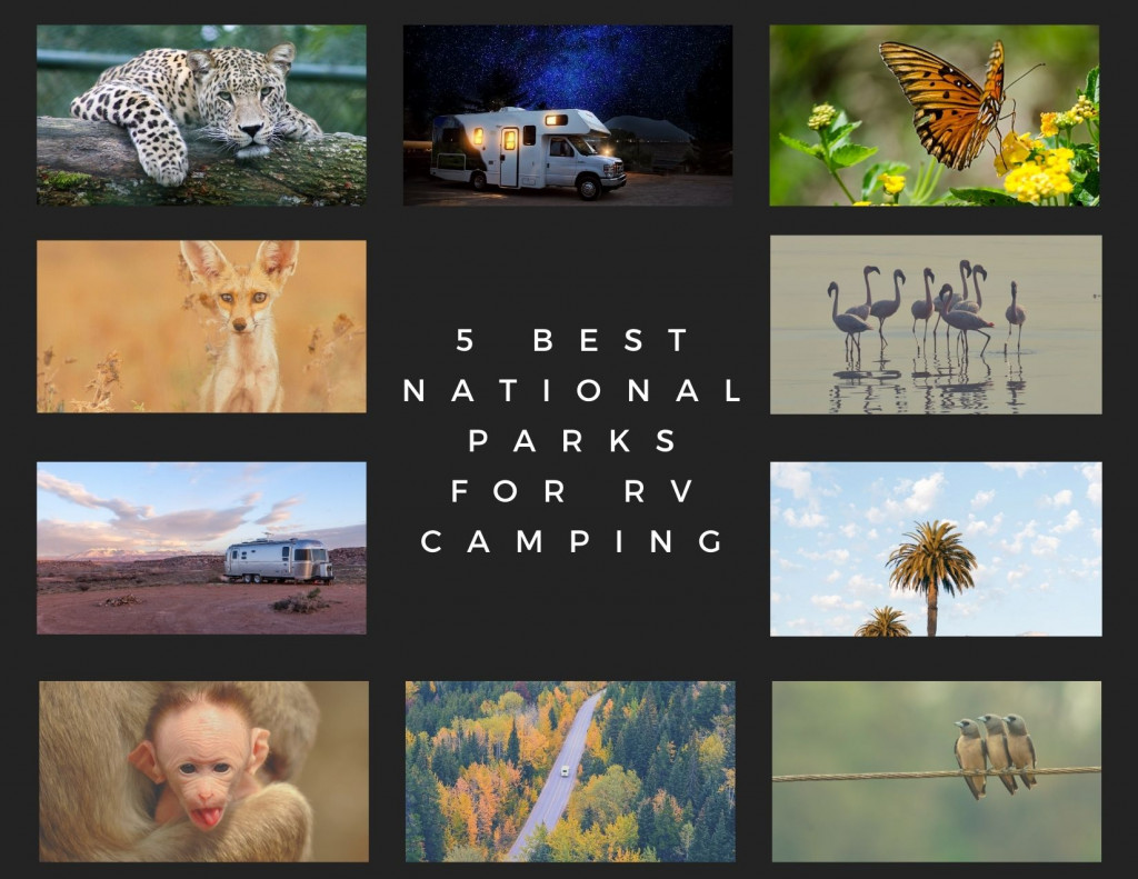 Best Parks for RV Camping